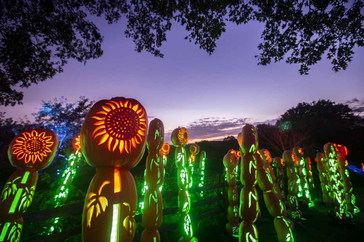 The Great Jack-o-Lantern Blaze - Nassau County Long Island