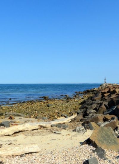 A rocky shoreline extends into the ocean under a clear blue sky. Logs and rocks are scattered on the sandy beach, and a small lighthouse is visible in the distance.