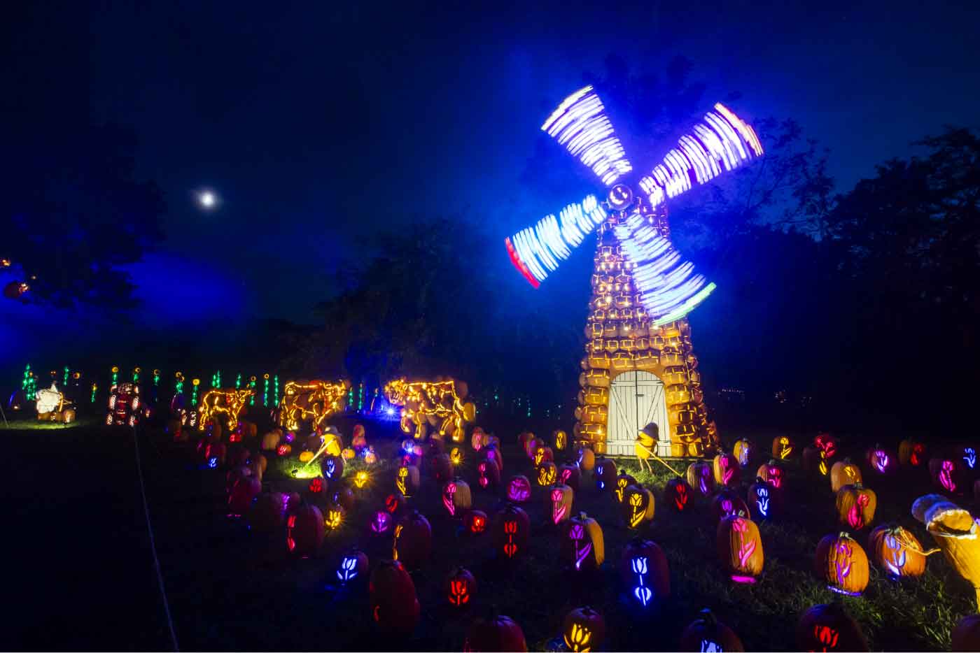 The Great Jack O'Lantern Blaze: A Magical Return to Long Island