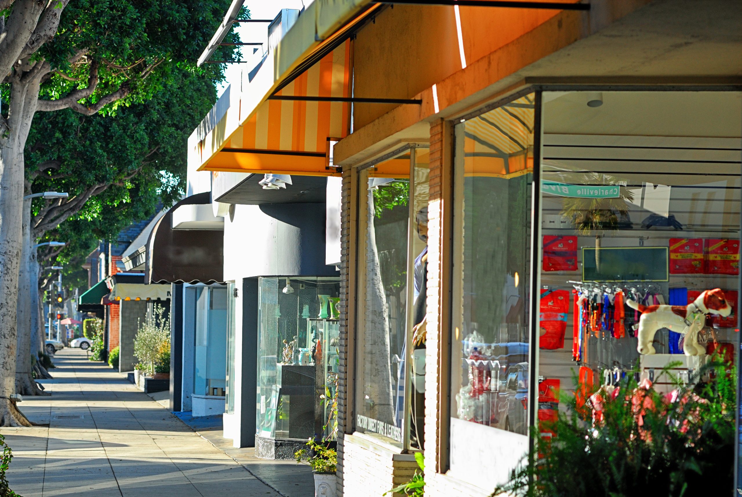 Tree-lined downtown shopping district featuring local storefronts and small businesses recognized through the 516 Official program.