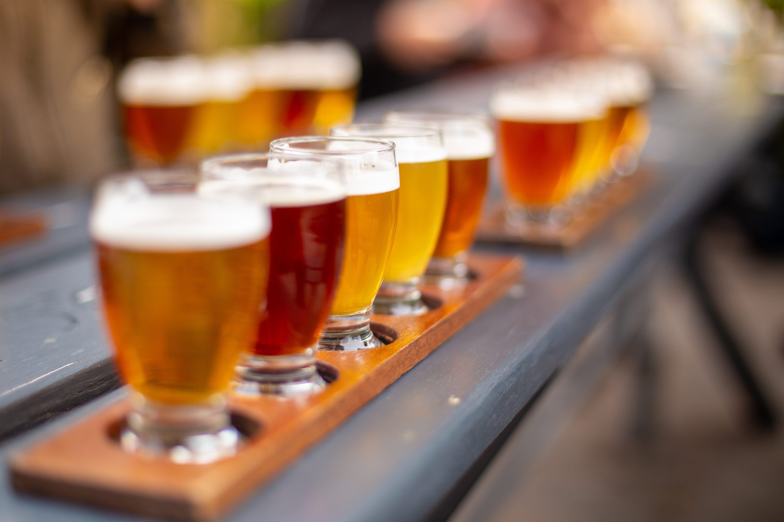 Craft beer flight featuring a variety of beers at a Long Island brewery