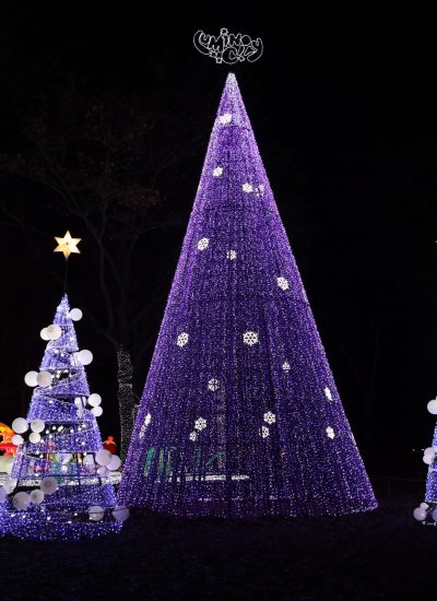 Illuminated purple and white Christmas trees sparkle with snowflake lights at the LuminoCity Holiday Lights Festival in Eisenhower Park, Nassau County.